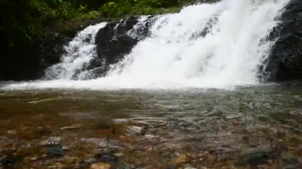 Cachoeira bela Cascata na Floresta Verde. Tropics na selva selvagem da montanha — Vídeo de Stock