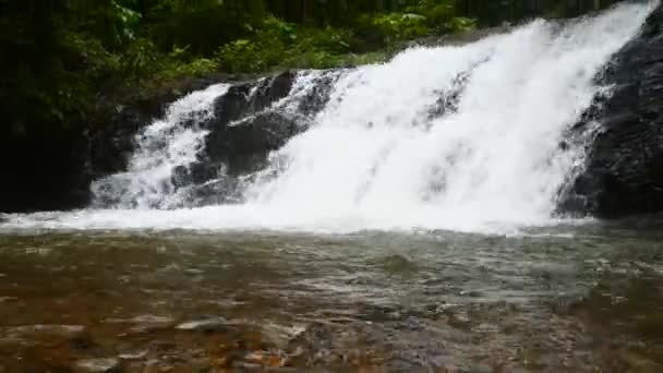 Cachoeira bela Cascata na Floresta Verde. Tropics na selva selvagem da montanha — Vídeo de Stock