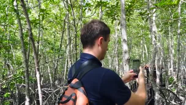 バックパック付きの若い男の観光客は、マングローブの森のスマートフォンでビデオを作ります — ストック動画