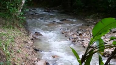 Tayland 'daki Yağmur Ormanları' nda Şelaleden akan Hızlı Dağ Nehri