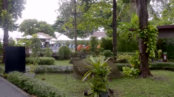 Luksusowy Tropical Resort z drewnianymi willami Otoczony zielenią w Tajlandii — Wideo stockowe