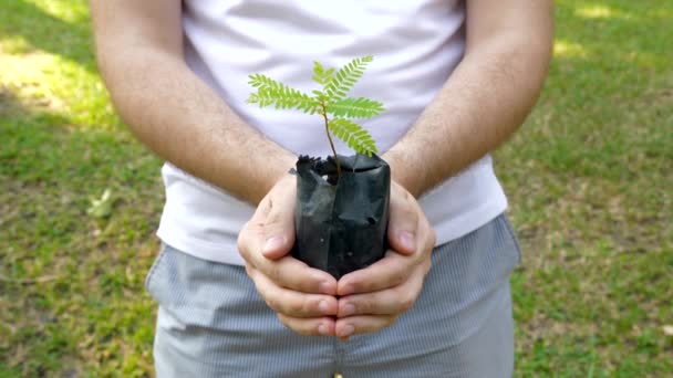 Mann hält jungen Sprossen im Blumentopf-Beutel mit Erde, Ökologie und Lebenskonzept — Stockvideo
