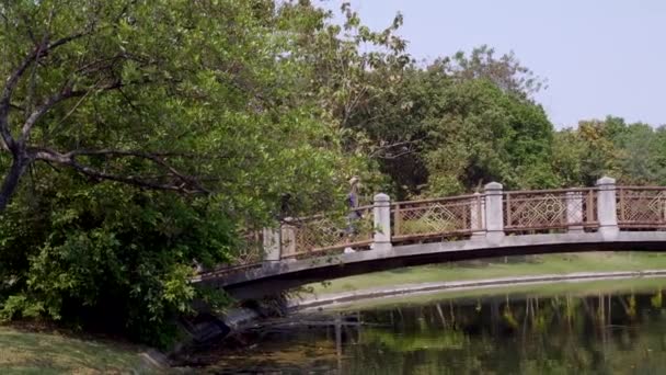 Giovane donna che cammina sul ponte sul fiume nel parco della città con alberi verdi — Video Stock