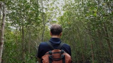 Sırt çantalı Turist Ormanda Yeşil Ağaçlarda Yürüyor, Yürüyüş Gezisi