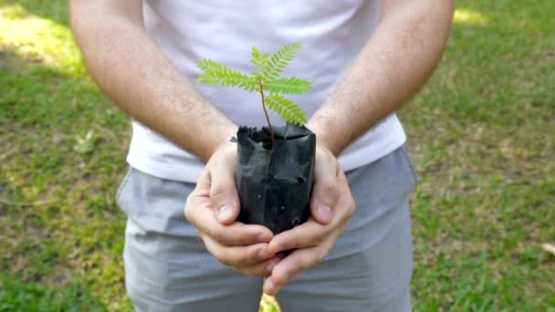 Man Holding Young Sprout em saco de vaso de flores com solo, ecologia e conceito de vida — Vídeo de Stock