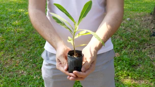 Man Holding Young Sprout em saco de vaso de flores com solo, ecologia e conceito de vida — Vídeo de Stock