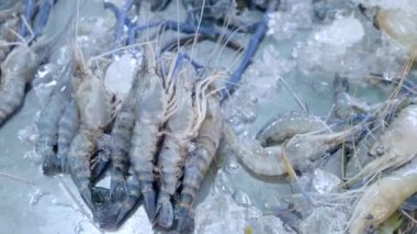 Taze Mavi Karides Karidesleri Yemek Pişirmek için Buzda Yatar Piyasada Satılık Görüntü