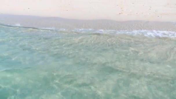 Niesamowity Tropical Resort z przejrzystą turkusową wodą oceanu, Plaża z białym piaskiem — Wideo stockowe