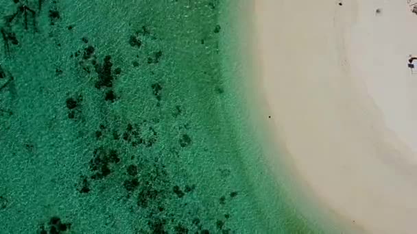 Vista superior aérea de la hermosa playa verde del océano con arena blanca y palmeras — Vídeo de stock
