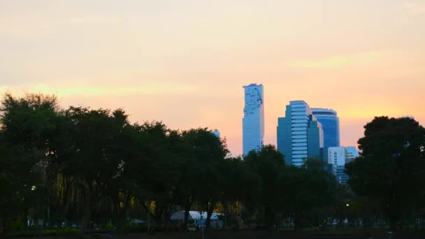 Coucher de soleil rose sur le parc public avec des arbres verts et des gratte-ciel Bâtiments en ville — Video