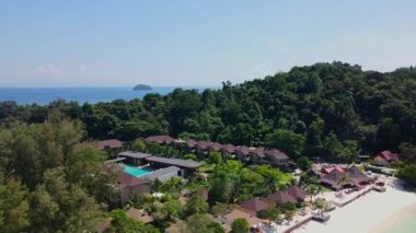 Yeşil Palmiye Ağaçları ve Yüzme Havuzu ile Güncel Konunun Havadan Görünümü