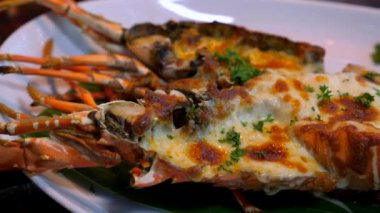 Bitkilerle ızgara ıstakoz yemeği ve akşam yemeği tabağında fırında peynir.