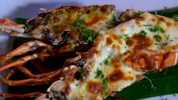 Comida de langosta a la parrilla con hierbas y queso horneado en el plato de la cena — Vídeos de Stock