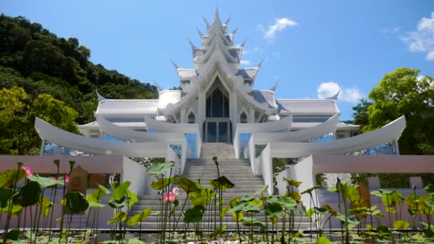 Білий тайський храм з зеленими квітами поливає водні лілії в спекотний літній день — стокове відео