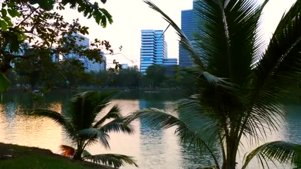 Relax nel Parco Pubblico con Lago, Alberi Verdi con Grattacieli Edifici in Città — Video Stock