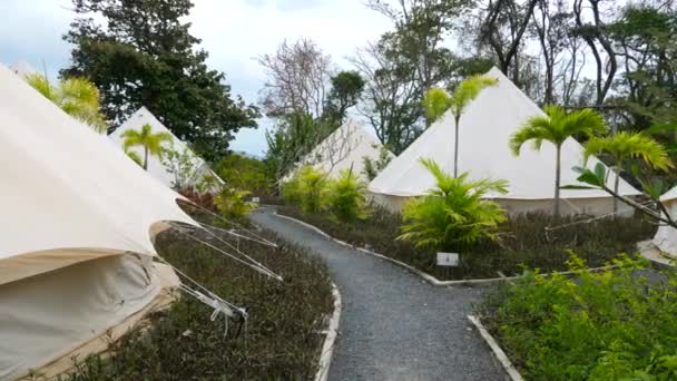 Doğadaki Glamping Çadırı, Yeşil Tropikal Çim, Ağaçlar. Moda Modern Dinlenme — Stok video