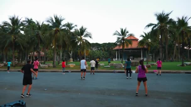 진정 한 사람들 이 공공 공원에서 강사와 함께 야외에서 좋은 태도를 보이다 — 비디오