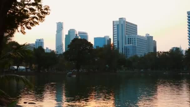 Jezero, Zelené stromy v Big City Public Park, Večerní západ slunce s mrakodrapy — Stock video