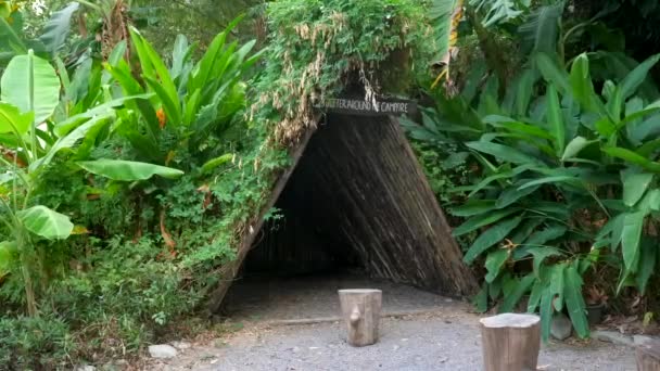 Povera baracca di legno con ceppi di legno tra giungla tropicale verde, luogo di festa — Video Stock