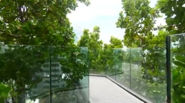 Green Trees Garden Walk on Modern Skyscraper in City, Observation Deck