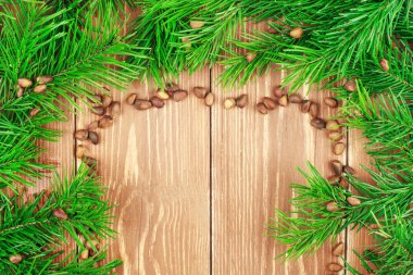 Köknar çam fıstığı ile dalları. Boşaltmak arka plan.