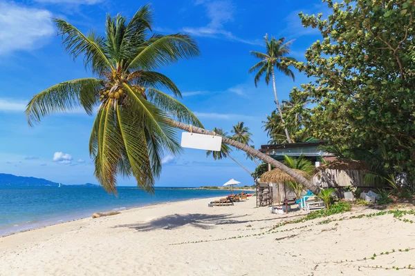 Beautiful tropical beach with palm trees — Stock Photo, Image