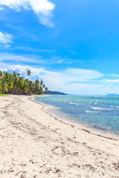 야자나무가 있는 아름다운 열대 해변 — 스톡 사진
