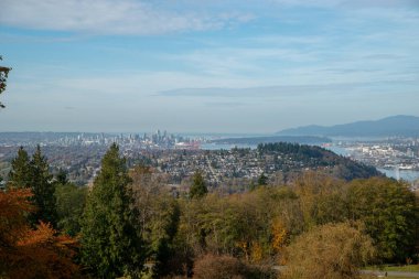 Bir dağ parkındaki sonbahar manzarasının resmi. Burnaby BC Kanada