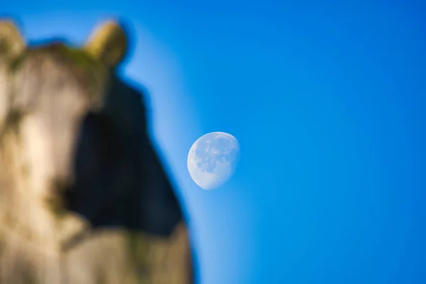 背景の月の写真と前景の熊の焦点を外した彫刻 — ストック写真