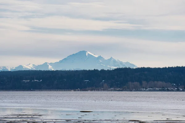 Une Image Mont Enneigé Baker États Unis — Photo