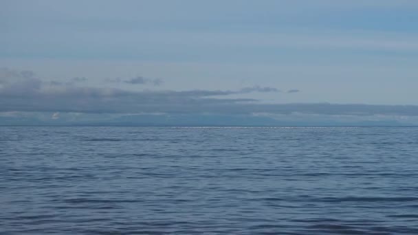 Фільм Про Море Брижі Richmond Canada — стокове відео