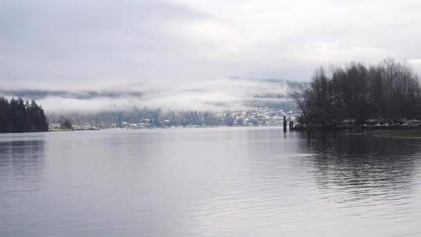 Una Vista Tranquila Burrard Inlet Después Una Nevada Canadá — Vídeos de Stock