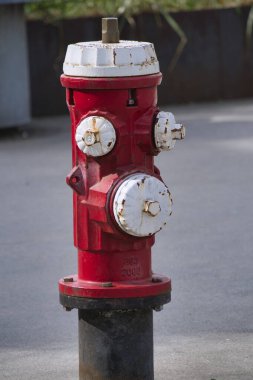 Red and white fire hydrant beside the street.  Vancouver BC Canada