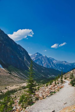 Melek Buzulu 'na giden yolun bir parçası. Jasper AB Kanada 