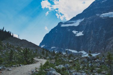 Melek Buzulu 'na giden yolun bir parçası. Jasper AB Kanada 