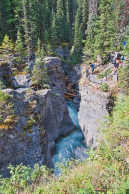 Maligne Kanyonu 'nun şelale bölümü. Jasper AB Kanada 