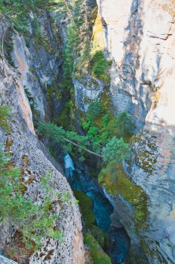 Maligne Kanyonu 'nun kanyon bölümünde. Jasper AB Kanada 