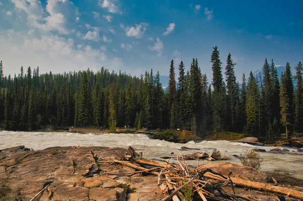 Sezione Fluviale Delle Cascate Athabasca Jasper Canada — Foto Stock