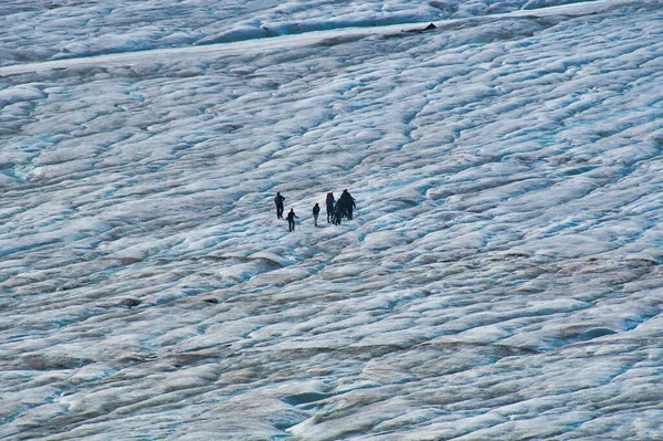 Egy Csapat Ember Sétál Gleccseren Columbia Icefield Area Athabasca Glacier — Stock Fotó