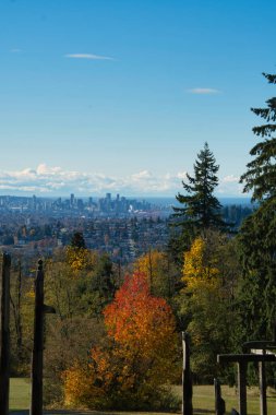 Vancouver şehir merkezinin sonbahar yapraklı manzarası. Burnaby Dağı, BC, Kanada