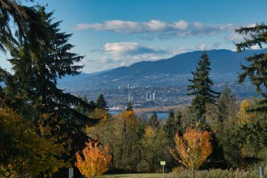 Sonbahar yapraklı Kuzey Vancouver manzarası. Burnaby Dağı, BC, Kanada