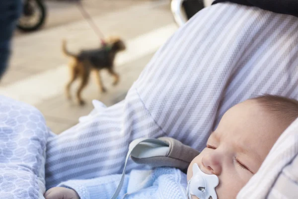 Niño durmiendo en su cochecito un día soleado — Foto de Stock