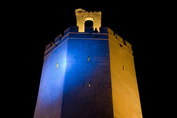 Πύργος Espantaperros τη νύχτα — Φωτογραφία Αρχείου