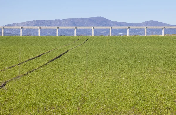 Elevated concrete irrigation canal — Stock Photo, Image