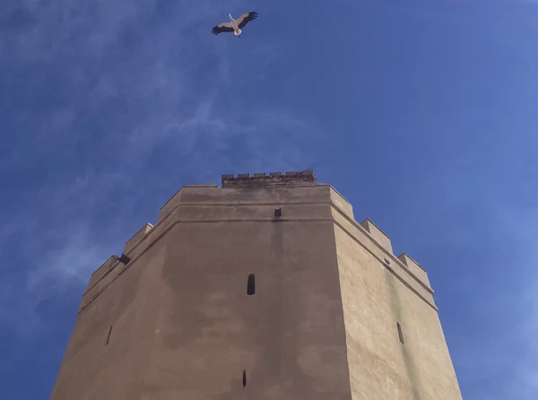 Espantaperros Turm mit fliegendem Storch — Stockfoto