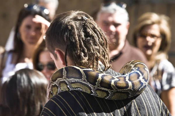 Encantador de cobras. Homem mercante fantasiado com cobra participante no Festival de Cultura de Almossasa — Fotografia de Stock