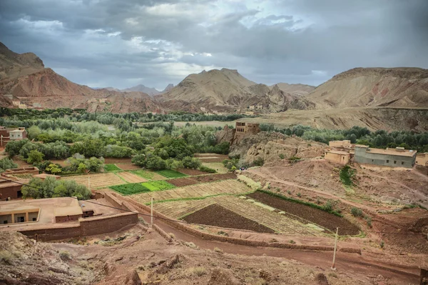 Dades κοιλάδα αγροκτήματα, Μαρόκο — Φωτογραφία Αρχείου