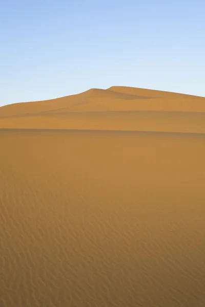 Clean sand hill at Merzouga, Morocco — Stock Photo, Image