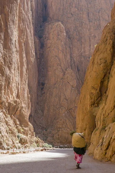 Maroko TODRA Gorge dopravce — Stock fotografie