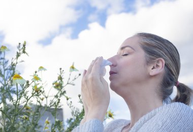 Kadın bir papatya çiçek çayır hapşırma